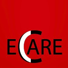 Orientering om bedriften eCare