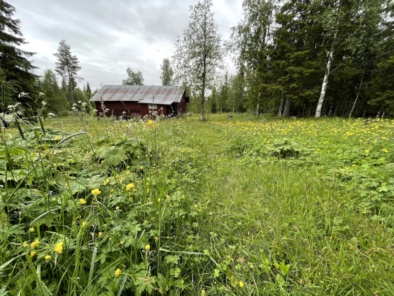 Sommerfest 2025