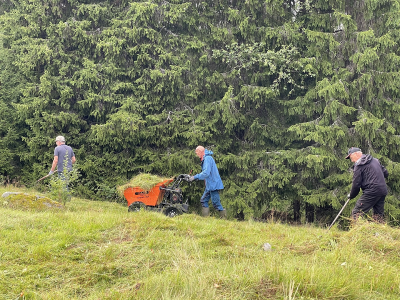 Slåttonn på Aurlundssætra i august